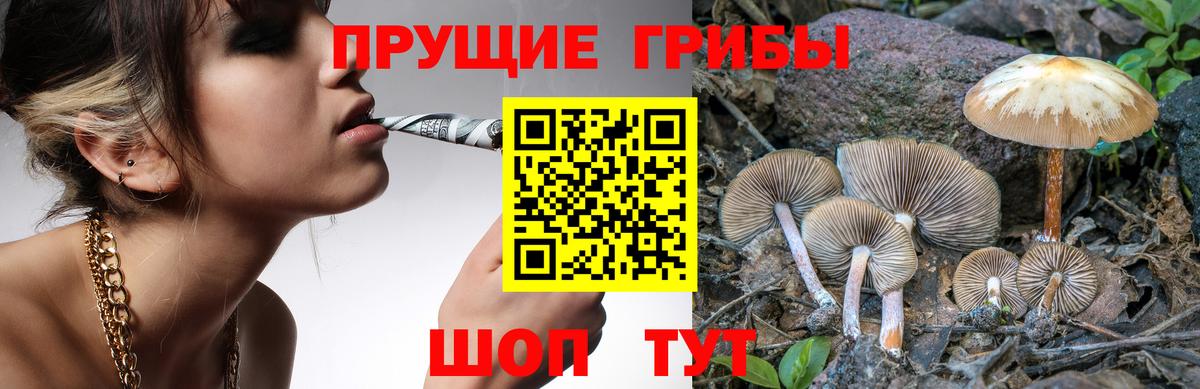 Галлюциногенные грибы Magic Shrooms  Галлюциногенные грибы мицелий  Вход с VPN  Шатура 